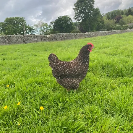 Bewerley Hall Farm بيت ضيافة *
